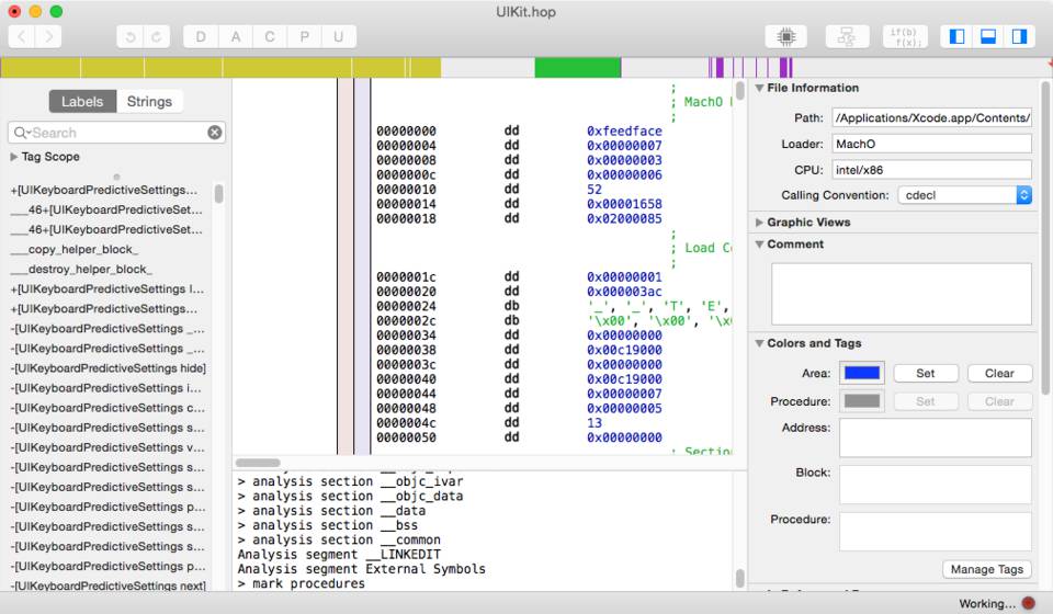 Processing UIKit in Hopper.